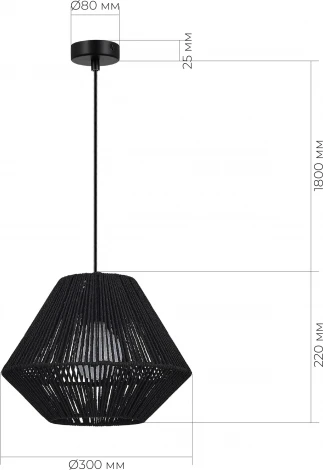 Подвесной светильник Evoluce Ettan SLE6025-403-01 черный/черный E27 1*40W (220V, на проводе)