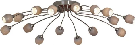 Потолочная люстра Lussole Spilimbergo LSA-3077-16