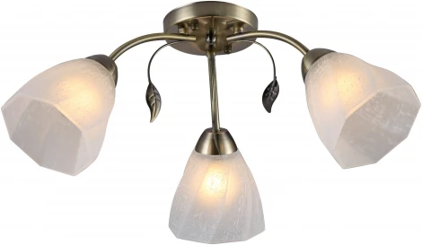 Потолочная люстра Ritter Monza 52539 4