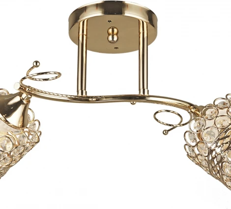 Потолочная люстра на штанге Reluce 04481-0.3-02 FGD (220V)