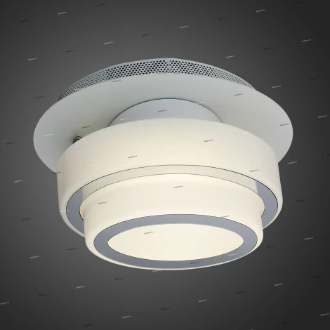 Настенно-потолочный светильник ST Luce Ovale SL546.501.01