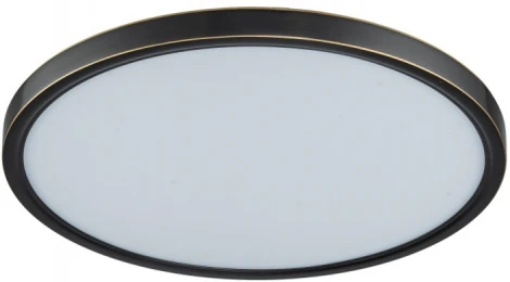 Потолочный светильник круглый Belfast Glenmore 8088-4H BL (LED, 220V, круглые)