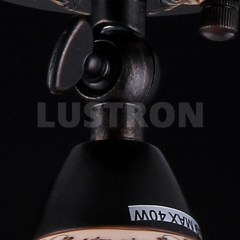 Спот Maytoni Spot 2 ECO002-01-R