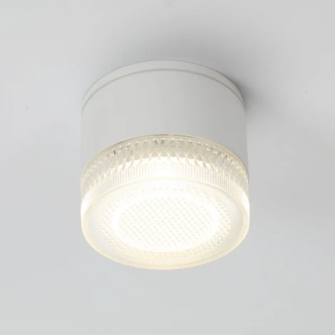 Потолочный светильник уличный Arte Lamp Piautos A1926PF-1WH (220V, круглые, IP54)