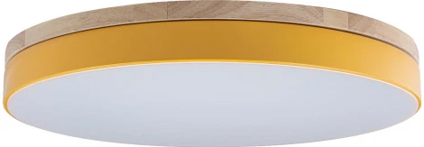 Потолочный светильник круглый Loft IT Axel 10001/36 Yellow (LED, 220V, круглые)