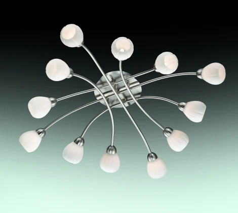 Потолочная люстра Odeon Light Akron 2469/12C