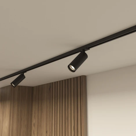 Трековый светильник Denkirs DK620 DK6202-BK (220V, круглые)