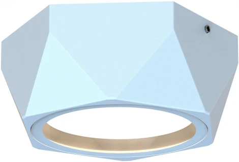 Потолочный светильник уличный Favourite Fantum 4668-1U (220V, круглые, IP54)