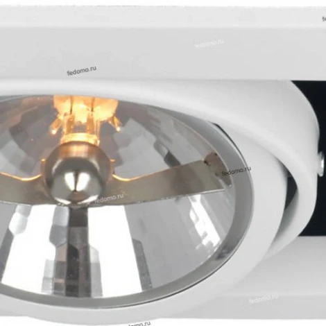 Встраиваемый точечный светильник Arte Lamp Cardani Grande A5935PL-2WH