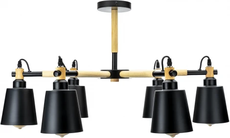 Потолочная люстра на штанге Ritter Volante 52448 9