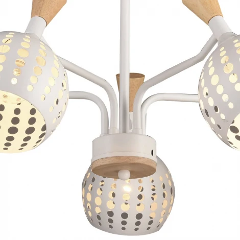 Потолочная люстра Wedo Light Florinda 66167.01.09.05