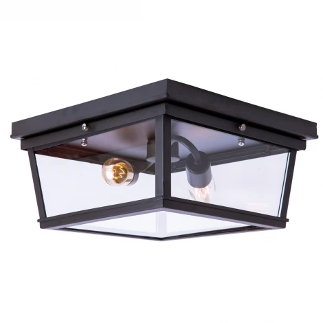 Потолочная люстра Loft It Modern Filament LOFT3110-2C