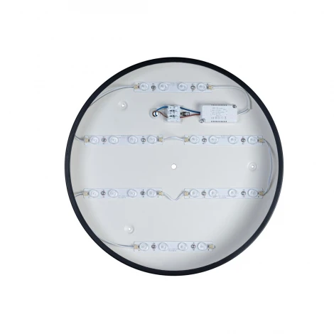 Потолочный светильник Loft IT Axel 10002/24 Black