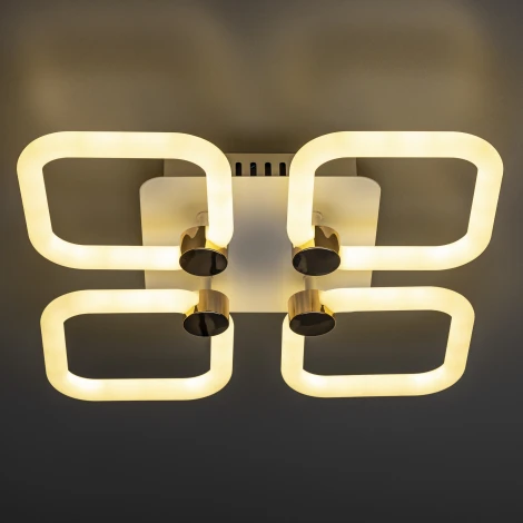 Потолочная люстра светодиодная с ДУ Ritter Ottimo 51615 0