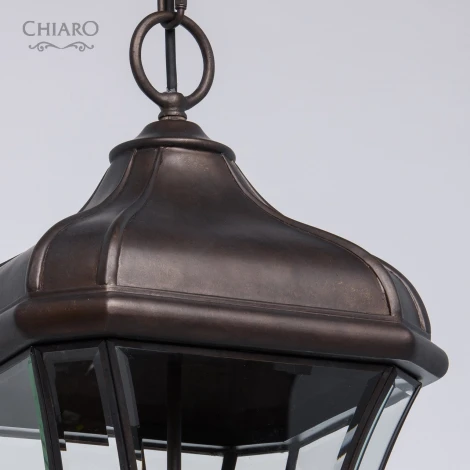 Уличный светильник подвесной Chiaro Шато 800010404