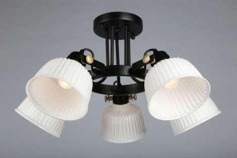 Потолочная люстра Omnilux Zamora OML-28207-05
