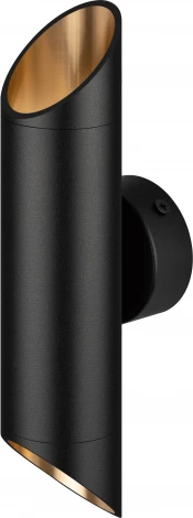 Настенный светильник ЭРА WL52 BK/GD