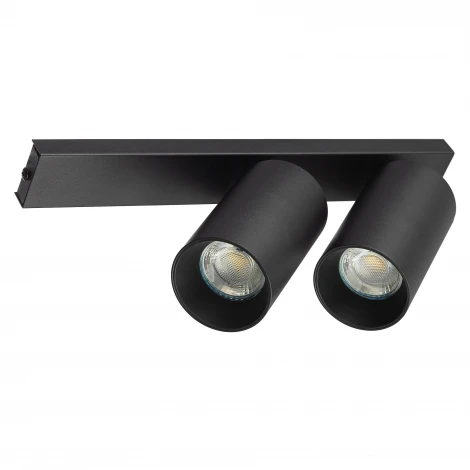 Настенно-потолочный спот Citilux Axel CL512521 Черный