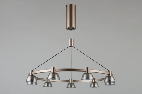 Подвесной светильник Aployt Rezeda APL.788.03.09 (LED, 220V, на проводе)