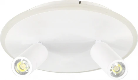 Настенно-потолочный светодиодный светильник 20046LED 20046SMA/02LED WH 28Вт, металл/акрил, белый (220V, круглые)