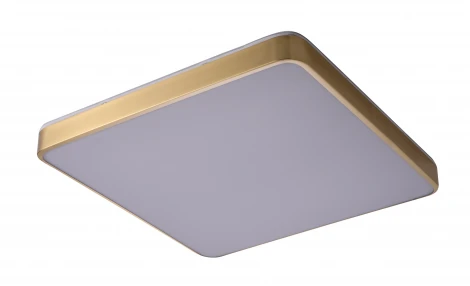 Потолочный светильник Zortes Monna ZRS.1209.05 (LED, 220V)