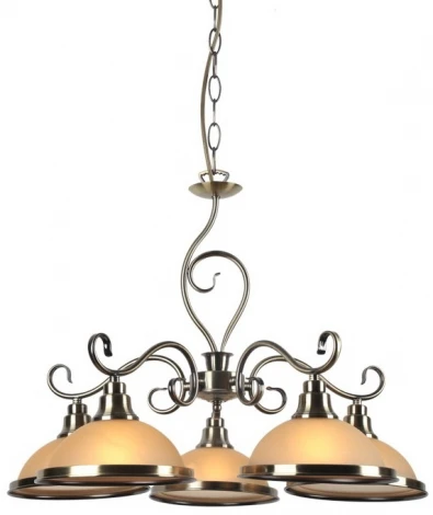 Подвесная люстра Arte Lamp Safari A6905LM-5AB