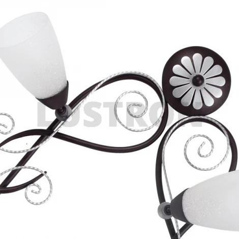 Потолочная люстра MW-Light Аида 323013306