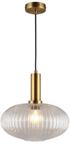 Подвесной светильник Aployt Kornelcia APL.311.06.01 (220V, на проводе, круглые)