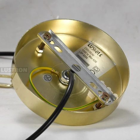 Подвесная люстра Lussole Loft Moultrie LSP-8203