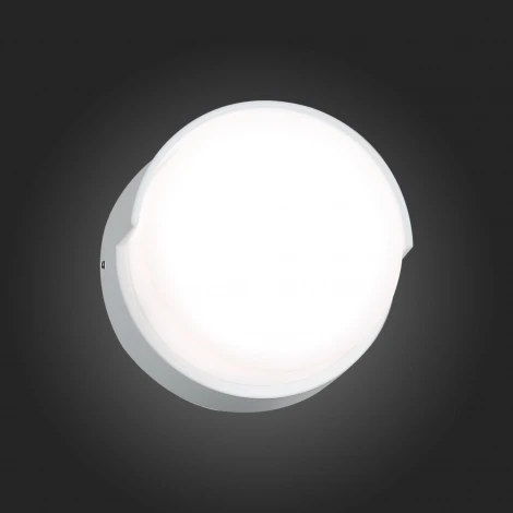 Настенный светильник уличный ST Luce Linata SL090.511.01