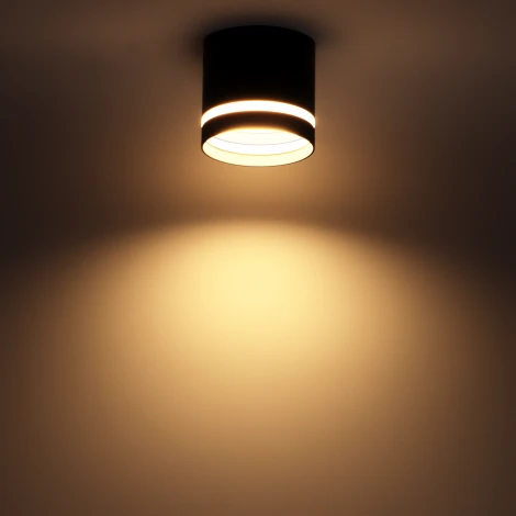 Накладной светильник Ritter Arton 59943 2