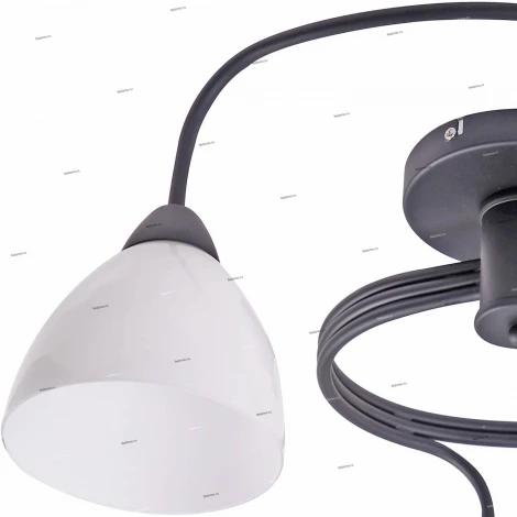 Потолочная люстра J-Light Fordy 1756/3C