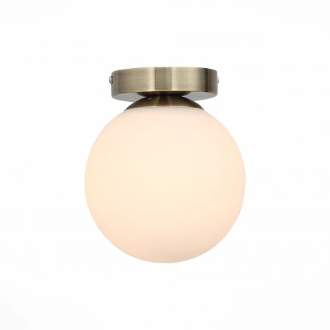 Настенно-потолочный светильник ST Luce Acini SL717.301.01