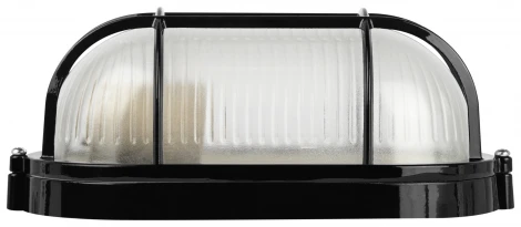 Настенно-потолочный светильник ЭРА НБП 04-60-002 в инд. упаковке НБП 04-60-002 черный