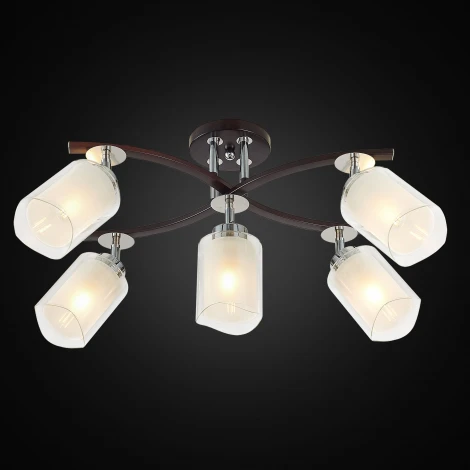 Потолочная люстра на штанге Citilux Фортуна CL156152 (220V)