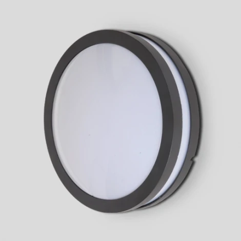 Потолочный светильник уличный Oasis Light SIDNEY 3362 Gr