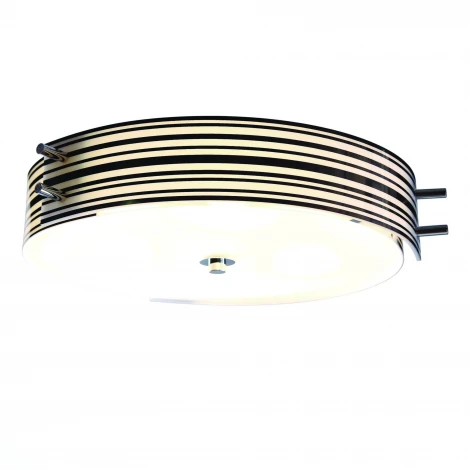 Потолочный светильник ST Luce Hegia SL484.542.06