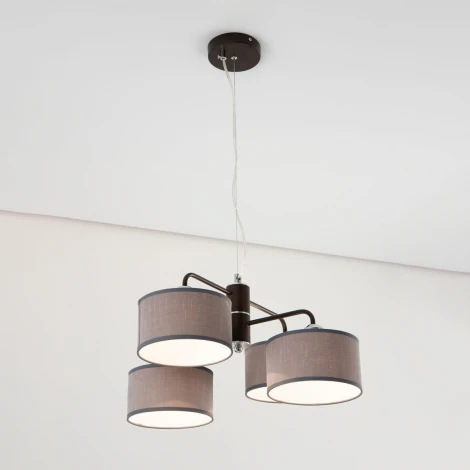 Люстра подвесная Форма CL428241 (220V, на тросе)