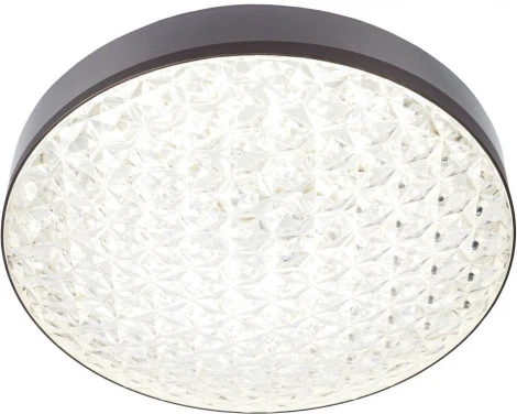 Настенно-потолочный светильник Мелодия Света CW1L 000024758