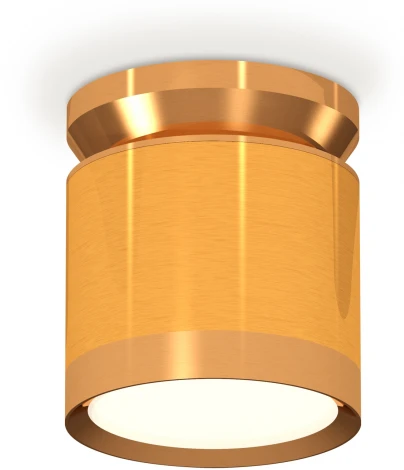 Накладной точечный светильник Ambrella Techno Spot XS8121035 (220V, круглые)