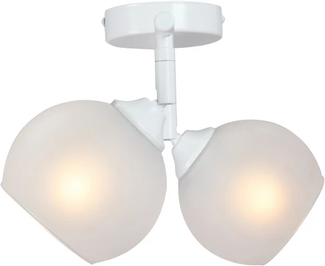 Спот на штанге Vitaluce V4313-0/2PL (220V)