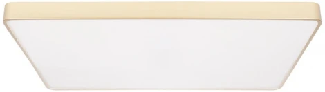 Потолочные светильники Loft It Flims 10228/E (LED, 220V)