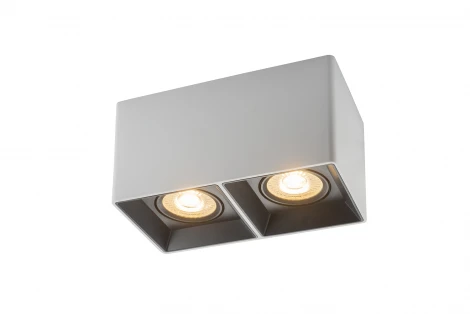 Накладной точечный светильник Denkirs DK3030 DK3035-WB (220V)