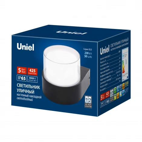Настенный уличный светильник 4000K Uniel ULU-P21A-5W/4000K IP65 BLACK