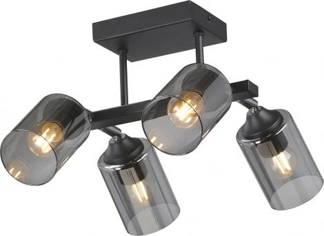 Потолочная люстра на штанге Vitaluce V2833-1/4PL (220V)