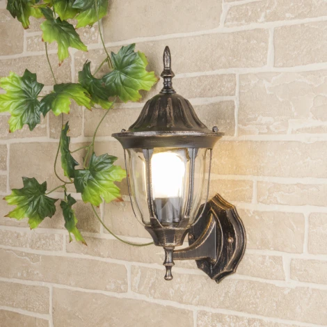 Настенный фонарь уличный Elektrostandard Feliz GL 1002U черное золото