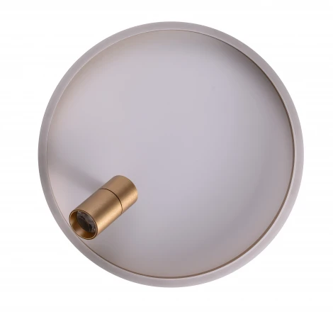 Потолочный светильник круглый со спотом Zortes Raizy ZRS.1888.04 (LED, 220V, круглые)