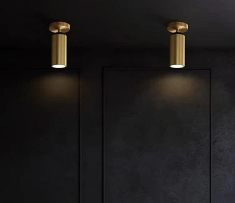 Спот iLamp Plum 8861C BR-BK (220V)