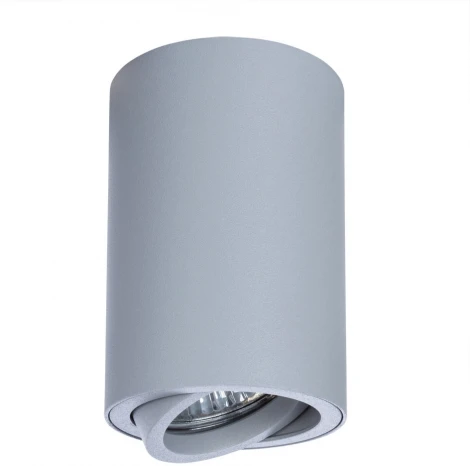 Накладной точечный светильник Arte Lamp Sentry A1560PL-1GY