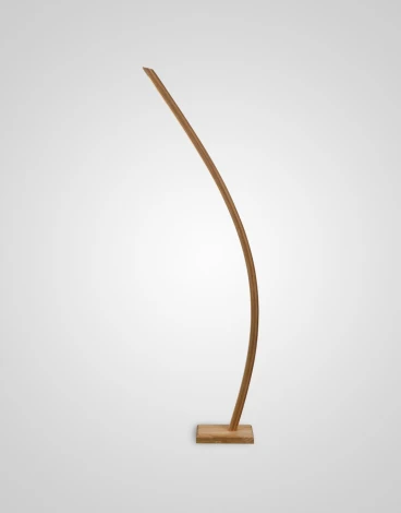 Торшер Мелодия Света FL2L 000050619